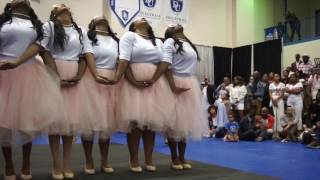 Alpha Kappa Alpha the Beta Upsilon Chapter at Dillard University SPR17 [upl. by Allimac]