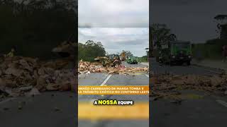 Caminhão carregado com manga tomba e deixa trânsito caótico no contorno leste [upl. by Lapotin]