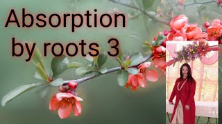 Absorption by roots 3 [upl. by Sheeb]