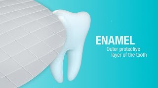 How Does Pronamel® Toothpaste Help Strengthen Enamel  Pronamel® [upl. by Leaper]