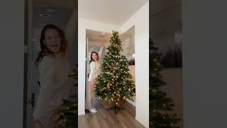 Realistic and affordable Christmas tree 🎄christmas tree christmastree holidays dogshorts dog [upl. by Halimak737]