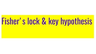 Fishers lock amp key hypothesis [upl. by Sells398]