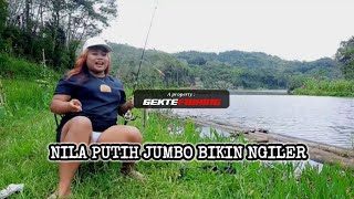 MANCING NILA PUTIH [upl. by Geer512]