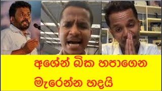 අශේන් බික හපාගෙන මැරෙන්න හදයි [upl. by Eppillihp]