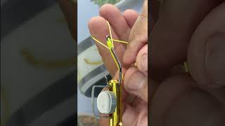 Master Angler Shares TOP Fishing Knots Secrets fishing shorts [upl. by Atined]