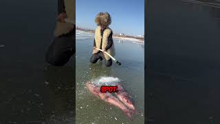 This boy found fish frozen in the ice [upl. by Yung391]