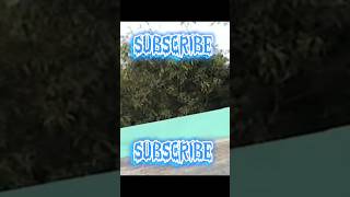 M3 Max drone camera test drone shorts trendingshorts viralshorts music song coolvideo [upl. by Ciapas]