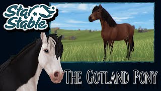 SSO  The Gotland Pony  All Animations Colors Manes Stats and Price released [upl. by Octavian]