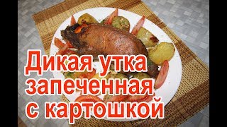 Дикая утка в духовке с картошкой – рецепт как приготовить дикую утку в духовке с картошкой [upl. by Guthrey]