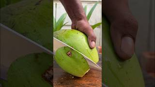 Fantastic coconut cutting shortvideo coconutcutting [upl. by Ahsyat]