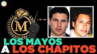 La Mayiza reta a Los Chapitos Sinaloa [upl. by Cutty]