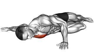 The Best Stretching Exercises for Mobility amp Flexibility DO THESE [upl. by Erde]