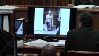 Photo Shows Pistorius Drenched In Blood Day Ten Of Trial [upl. by Ainolloppa]