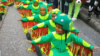 carnavales en cartagena de Indias colombia viralreel viralreelsシ viralvideo viralreelsシ [upl. by Esilec]