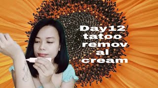 tatoff 4 weeks tattoo removal cream reviews Day 12 [upl. by Navonoj701]