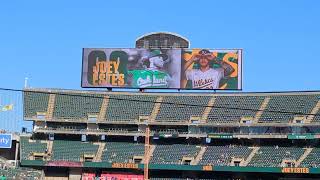 Oakland As Player Introduction Video At The Oakland Coliseum Oakland California 2024 Video 2 [upl. by Peace]