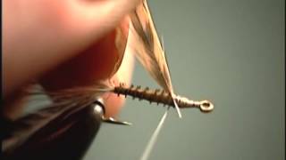 Emerger fly tying video by Shane Stalcup [upl. by Tuddor]