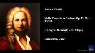 Antonio Vivaldi Violin Concerto in G minor Op 12 No 1 RV 317 [upl. by Nahsar]