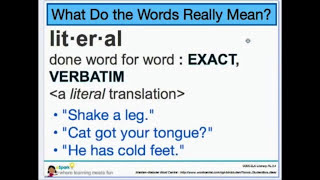 Literal vs Nonliteral Words  3rd Grade Reading  eSpark Instructional Video [upl. by Braden969]