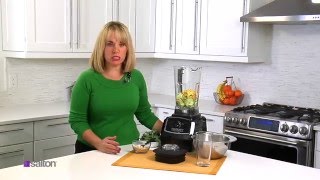 Salton Harley Pasternak Power Blender [upl. by Nehtanhoj]