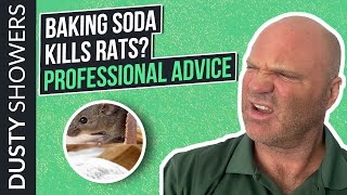 Does Baking Soda Really Kill Rats  Review From An Exterminator [upl. by Ahsad297]