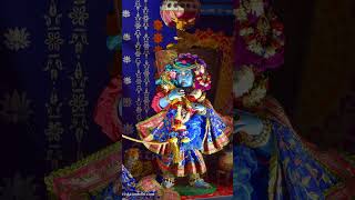 Shree Chetanya Mahaprabhu ￼fypシ゚viral love motivation sad ladkibadianjanihaicover [upl. by Ahsiemac]