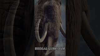 How close are we to cloning Woolly Mammoths [upl. by Lyssa]