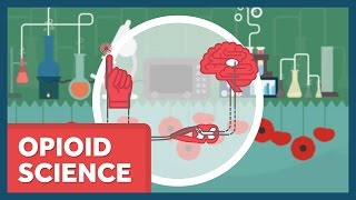 The Science of Opioids [upl. by Aholah]