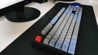 Leopold FC900R PD Typing Cherry MX Brown [upl. by Aruol278]