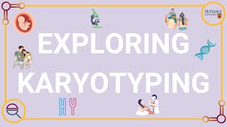 Exploring Karyotypes [upl. by Ecirum]