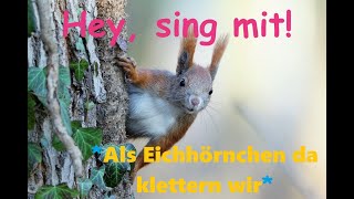 🎵🤍🐿️🧗‍♂️🌲👀quotAls Eichhörnchen da klettern wirquot Kinder u Volkslieder  Liedtext Notenlink ↓InfoBox [upl. by Scibert]