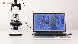 Introducing 40X 5000X Compound Trinocular Optical Microscope [upl. by Neumeyer232]