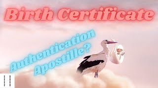 Basics 101 Authenticating the Birth Certification Apostille vs Authentication [upl. by Normi]