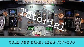 XPlane 11  From Cold and Dark to Takeoff  Complete Tutorial  IXEG 737300 [upl. by Tur]