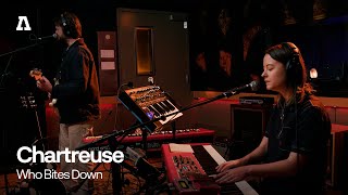 Chartreuse  Who Bites Down  Audiotree Live [upl. by Stillas399]