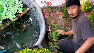 ছাদে ফুল বাগানের মধ্যে ছোট্ট মাছের পুকুর  DIY Mini Pond [upl. by Romona486]