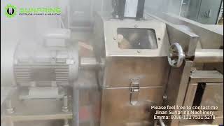 EC1200R SUNPRING Textured soy proteinSoya nuggetssoya meatsoy chunks machine [upl. by Jena]