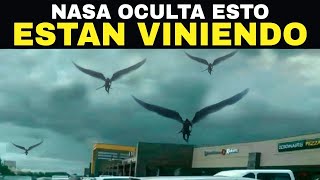 Estos Drones Hacen Un Descubrimiento Escalofriante y Aterrador Que CONMOCIONÓ Al Mundo Entero [upl. by Rep]