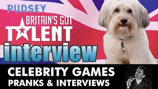 Pudsey the Dog  Britains Got Talent Winner Interview  Dancing Dog [upl. by Toms315]