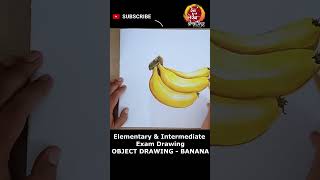 Shorts Banana drawing easy step  Elementary Exam Object Drawing [upl. by Hollenbeck]