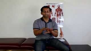 All About Quadriceps Tendonitis And How To Treat It Holistically  Manu Kalia  Video 140 [upl. by Hecklau]