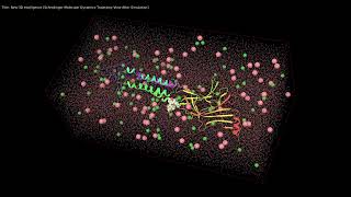 SchrodingerMolecular Dynamics Trajectory ViewAfter Simulation [upl. by Arhoz]