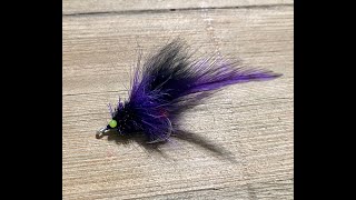 Laid up Tarpon Fly [upl. by Nylisoj]