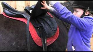 Crafty Ponies How to lead groom amp tack up wwwcraftyponiescouk [upl. by Hanway]