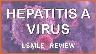 Hepatitis A Virus HAV for USMLE [upl. by Timothea]