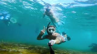 Youve Gotta Try This Snorkeling at Blue Heron Bridge in Riviera Beach [upl. by Nilak529]