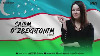 Gulinur  Salom Ozbekistonim Audio 2022 [upl. by Dodie]