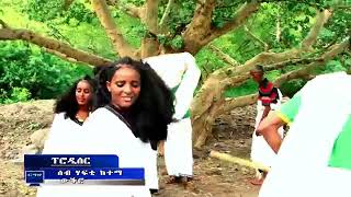 Mengasha Redae Geday Mama New Ethiopian Music Official Music Video [upl. by Buehrer]