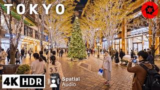 Christmas in Downtown Tokyo 2023  4K HDR Spatial Audio [upl. by Eimrej]