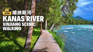 Xinjiang Scenery Walking Tour 4K HDR  Kanas Riverside Walkway [upl. by Eigna]